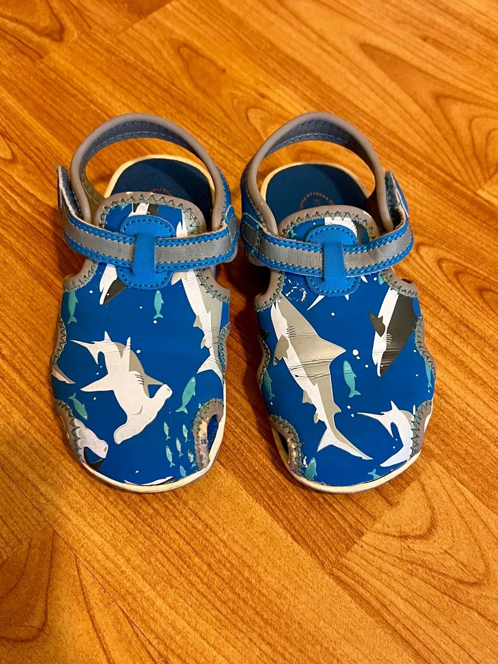Stride Rite Kids Blue Shark & Fish Sandals